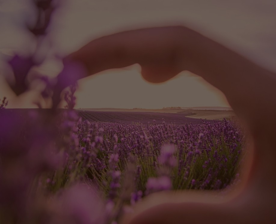 Reframing – Denkmuster neu gestalten, Ressourcen aktivieren