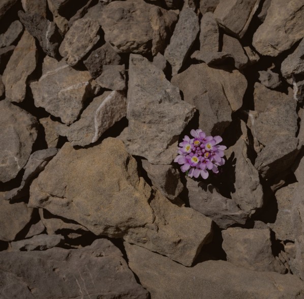 Resilienz beginnt dort, wo wir entscheiden wie wir weitermachen.